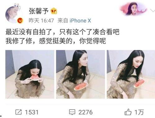 娱乐吃瓜酱自己和解,吃瓜酱带你领略幕后风云