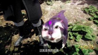 娱乐吃瓜君遛鸟大师是谁,娱乐吃瓜君眼中的神秘人物