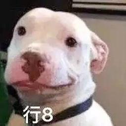 娱乐圈吃瓜微信公众号,揭秘热门公众号背后的吃瓜世界