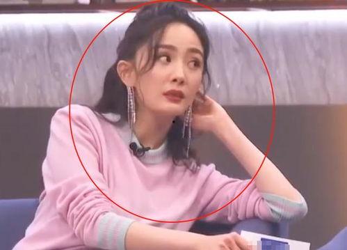 娱乐吃瓜晨晨,晨晨带你领略娱乐圈的“瓜田”盛宴