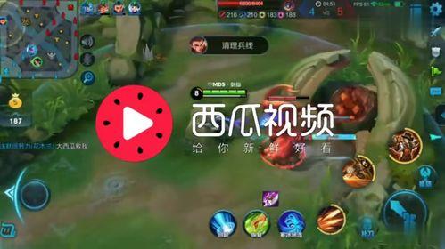 娱乐吃瓜背景音乐,背景音乐中的欢乐时光
