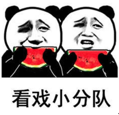 搞笑沙雕吃瓜娱乐图片,沙雕吃瓜娱乐图集大赏