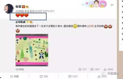 娱乐吃瓜酱生日,生日快乐，揭秘这位娱乐圈“瓜王”的独家魅力