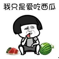 吃瓜的娱乐号是什么,吃瓜群众热议的娱乐号背后的故事