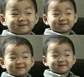 娱乐圈的吃瓜群众 一,吃瓜群众的一生见证