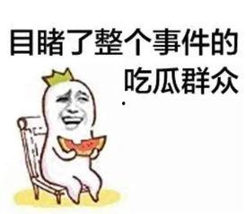 娱乐吃瓜酱520,吃瓜酱带你领略娱乐圈甜蜜瞬间