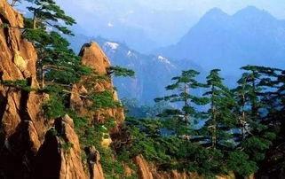 娱乐吃瓜君黄山,揭秘娱乐圈背后的那些事儿