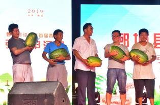 娱乐吃瓜居民,吃瓜群众眼中的明星生活