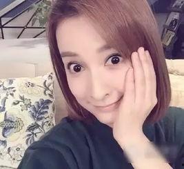 娱乐吃瓜酱东北朋友